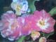 Blumen - Admir Gabela - Ãl auf - - Blumen - Admir Gabela - Ãl auf - -
