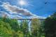 Eisenbahnbrücke - Admir Gabela - Ãl auf Holz - - Eisenbahnbrücke - Admir Gabela - Ãl auf Holz - -