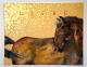 Perd im Goldregen - Desiree Bernhard - auf - Fantastisch-Mystik-Pferde-Wildtiere-Sonstiges - Perd im Goldregen - Desiree Bernhard - auf - Fantastisch-Mystik-Pferde-Wildtiere-Sonstiges -