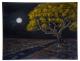 Mitternacht - Desiree Bernhard - auf - Mystik-Botanik-Landschaft-Sonstiges-Stimmungen - Mitternacht - Desiree Bernhard - auf - Mystik-Botanik-Landschaft-Sonstiges-Stimmungen -