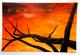 Euphoria - Desiree Bernhard - auf - Fantastisch-Mystik-Bäume-Landschaft-Sonstiges-Abend-Feuer-Sommer-Sonnenuntergang - Euphoria - Desiree Bernhard - auf - Fantastisch-Mystik-Bäume-Landschaft-Sonstiges-Abend-Feuer-Sommer-Sonnenuntergang -