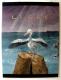 Liebe - Desiree Bernhard - auf - Wildtiere-Meer-Sonstiges-Wetter - Liebe - Desiree Bernhard - auf - Wildtiere-Meer-Sonstiges-Wetter -