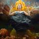 One world - Jolanda Richter - Ãl auf Leinwand - Fantastisch-Menschen-Berge-Wasser - Figuration-Gegenständlich-Klassisch-Naturalismus-Realismus-Symbolismus One world - Jolanda Richter - Ãl auf Leinwand - Fantastisch-Menschen-Berge-Wasser - Figuration-Gegenständlich-Klassisch-Naturalismus-Realismus-Symbolismus