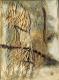 Neues Kunstwerk - Roland Strey - auf - - Neues Kunstwerk - Roland Strey - auf - -