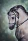 Horse #1 - Rebecca Tecla - Ãl auf - Tiere - Horse #1 - Rebecca Tecla - Ãl auf - Tiere -
