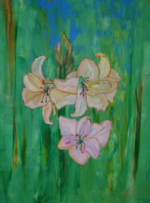 Amaryllis - Klaus Scholl - auf Array - Array - Amaryllis - Klaus Scholl - auf Array - Array -