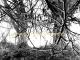 Bei Nacht - 4 - Dominik Böhm - Drucke auf - Abstrakt-Mystik-Bäume-Bach-Wald-Wiese-Abend-Winter-Nebel - Bei Nacht - 4 - Dominik Böhm - Drucke auf - Abstrakt-Mystik-Bäume-Bach-Wald-Wiese-Abend-Winter-Nebel -