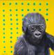 Gorilla Baby - Susanne Urtel-Stappmanns - Acryl auf Leinwand - Wildtiere - Fotorealismus-PopArt Gorilla Baby - Susanne Urtel-Stappmanns - Acryl auf Leinwand - Wildtiere - Fotorealismus-PopArt
