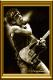 BruceSpringsteen - LaFemme Jackson - Acryl auf Karton - Männer - Fotorealismus BruceSpringsteen - LaFemme Jackson - Acryl auf Karton - Männer - Fotorealismus