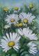 ---Kamille - Elisabeth Willner - Acryl auf Leinwand - Blumen - Naturalismus ---Kamille - Elisabeth Willner - Acryl auf Leinwand - Blumen - Naturalismus