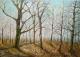 ---Im Herbst - Elisabeth Willner - Ãl auf Leinwand - Wald-Wiese-Herbst - Naturalismus ---Im Herbst - Elisabeth Willner - Ãl auf Leinwand - Wald-Wiese-Herbst - Naturalismus