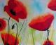 Mohn - Viola Erdmann - Acryl auf Leinwand - Natur-Stillleben - Gegenständlich Mohn - Viola Erdmann - Acryl auf Leinwand - Natur-Stillleben - Gegenständlich