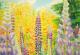 Blumen.Ginster.Heide - Fred Hahn - Ãl auf Hartfaser - Himmel-Wald-Wiese-Wolken-Freude-Harmonie-Sommer - Gegenständlich Blumen.Ginster.Heide - Fred Hahn - Ãl auf Hartfaser - Himmel-Wald-Wiese-Wolken-Freude-Harmonie-Sommer - Gegenständlich