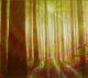 Frühlingswald - Fred Hahn - Ãl auf Leinwand - Wald-Frühling-Morgen - Gegenständlich Frühlingswald - Fred Hahn - Ãl auf Leinwand - Wald-Frühling-Morgen - Gegenständlich