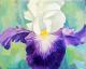 Im Reich der Blumen 3 - Svetlana KUNST - auf - - Im Reich der Blumen 3 - Svetlana KUNST - auf - -