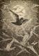 # 19 - edvard walker - auf - Fantastisch - # 19 - edvard walker - auf - Fantastisch -