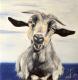 Portrait Ziege - Laura Schwarz - Ãl auf Leinwand - Haustiere-Wildtiere - Gegenständlich-Naturalismus-Realismus Portrait Ziege - Laura Schwarz - Ãl auf Leinwand - Haustiere-Wildtiere - Gegenständlich-Naturalismus-Realismus