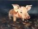 Ferkel - Laura Schwarz - Ãl auf Leinwand - Haustiere - Naturalismus-Realismus Ferkel - Laura Schwarz - Ãl auf Leinwand - Haustiere - Naturalismus-Realismus