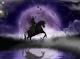ride in the moonlight - Katja Humbs - DigitaleKunst auf - Fantastisch-Mystik-Tiere-See-Abend - ride in the moonlight - Katja Humbs - DigitaleKunst auf - Fantastisch-Mystik-Tiere-See-Abend -
