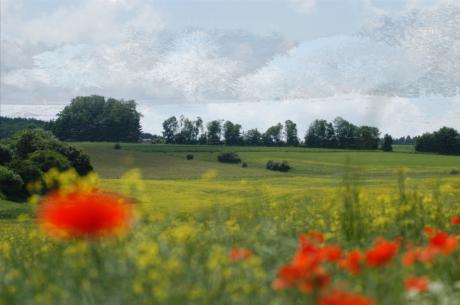 Ein Standpunkt, zwei Ansichten - Arno Schmitt - auf - Array - Ein Standpunkt, zwei Ansichten - Arno Schmitt - auf - Array -