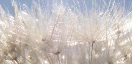 Sonnenflug - Arno Schmitt - auf - Array - Sonnenflug - Arno Schmitt - auf - Array -