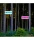 Natural - Michaela Kindle - Thomas Knab - Fotocollage---DigitaleKunst auf - Wald - Natural - Michaela Kindle - Thomas Knab - Fotocollage---DigitaleKunst auf - Wald -