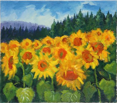 Sonnenblumen bei Horheim - Josef Heinzler - Thomas Knab - Array auf Array - Array - Array Sonnenblumen bei Horheim - Josef Heinzler - Thomas Knab - Array auf Array - Array - Array