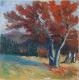 Windbuchen auf dem Schauinsland - Josef Heinzler - Thomas Knab - Ãl auf Leinwand - Reisen-Bäume-Berge-Wald-Herbst - Impressionismus Windbuchen auf dem Schauinsland - Josef Heinzler - Thomas Knab - Ãl auf Leinwand - Reisen-Bäume-Berge-Wald-Herbst - Impressionismus