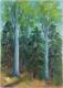 Sommerlicher Eibenwald Tiengen - Josef Heinzler - Thomas Knab - Ãl auf Leinwand - Reisen-Bäume-Wald-Sommer - Impressionismus Sommerlicher Eibenwald Tiengen - Josef Heinzler - Thomas Knab - Ãl auf Leinwand - Reisen-Bäume-Wald-Sommer - Impressionismus