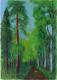 Sommerwald zu Wutöschingen - Josef Heinzler - Thomas Knab - Ãl auf Leinwand - Reisen-Bäume-Wald-Sommer - Impressionismus Sommerwald zu Wutöschingen - Josef Heinzler - Thomas Knab - Ãl auf Leinwand - Reisen-Bäume-Wald-Sommer - Impressionismus