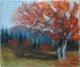 Wetterbuchen auf dem Schauinsland - Josef Heinzler - Thomas Knab - Ãl auf Leinwand - Reisen-Bäume-Berge-Wald-Wiese-Herbst - Impressionismus Wetterbuchen auf dem Schauinsland - Josef Heinzler - Thomas Knab - Ãl auf Leinwand - Reisen-Bäume-Berge-Wald-Wiese-Herbst - Impressionismus