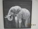 Auf Elefantenspur - Annette Schonlau - auf Leinwand - - Auf Elefantenspur - Annette Schonlau - auf Leinwand - -