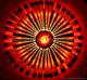 Warp 2016 - Henry Matz - auf - Sonstiges - Warp 2016 - Henry Matz - auf - Sonstiges -