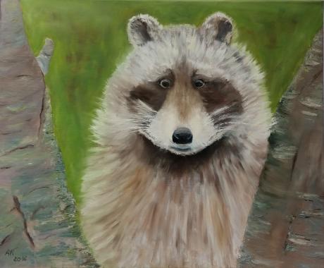 Waschbär - Anke Knoth - Array auf Array - Array - Array Waschbär - Anke Knoth - Array auf Array - Array - Array