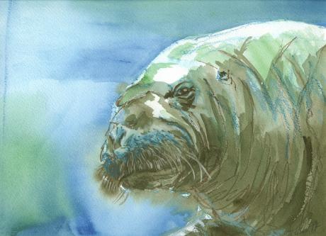 Kennen wir uns? - Karin Liste - Array auf - Array - Kennen wir uns? - Karin Liste - Array auf - Array -