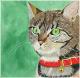 Paula - Karina Birke - Acryl auf Leinwand - Katzen - Paula - Karina Birke - Acryl auf Leinwand - Katzen -