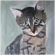 Pepsi - Karina Birke - Acryl auf Leinwand - Katzen - Pepsi - Karina Birke - Acryl auf Leinwand - Katzen -