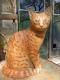 Kater rot - Anna Kirsche - Ton-Keramik auf - Katzen - Kater rot - Anna Kirsche - Ton-Keramik auf - Katzen -