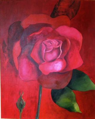 Rose - A. Eykman - Array auf Array - Array - Rose - A. Eykman - Array auf Array - Array -