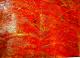 Seelenfeuerwerk - Sandra Maertens - Acryl auf Pappe - Sonstiges - Abstrakt Seelenfeuerwerk - Sandra Maertens - Acryl auf Pappe - Sonstiges - Abstrakt